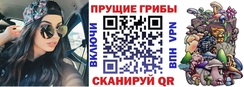 Псилоцибиновые грибы Psilocybe наркота Абакан